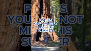 6 Magical Spots in Sequoia National Park  Underrated California Gem #sequoianationalpark #travel