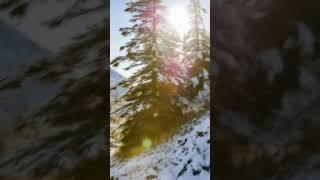 ️ WARNING Sign Before the Avalanche! #shorts
