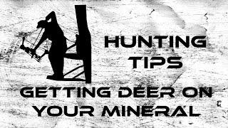 How to: Attract Deer To Your Mineral Site