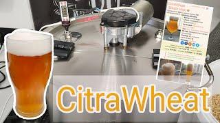 Пшеничное пиво с хмелем Citra - "CitraWheat". Самое вкусное домашнее пшеничное ПИВО! Рецепт пива.