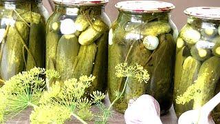 Любимый рецепт МАРИНОВАННЫХ ОГУРЦОВ без стерилизации /Favorite recipe for PICKLED CUCUMBERS