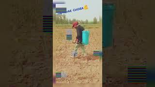 desi jamidar shorts#jamidara_ka_chora #farming #kisan #किसान #trendingshorts #viralshort