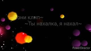 ~Пони клип~ Ты нахалка, я нахал