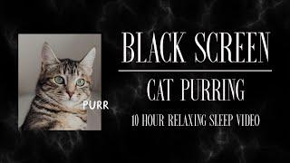 CAT PURRING  l  10 Hours of Pet Sounds for Sleep  l  Black Screen