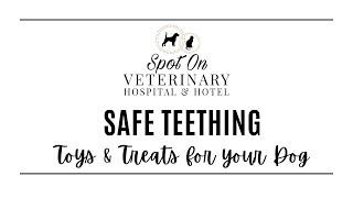 Safe teething toys & treats for your Dog