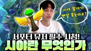 [서폿 강의] 초보자가 꼭 알아야 할 '롤 시야/와드'의 모든 것!