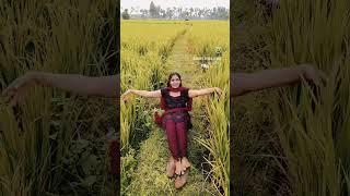 happy Dussehra to all / ismart Durga subscribe/ nature/ my village