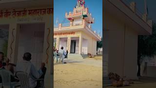 Veer Teja Ji Mharaj ️ !! #tejajimharaj #tejaltapdhari