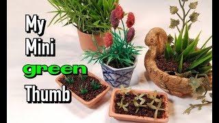 Making Dollhouse Plants: Live Stream #12