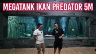 AJAIB !!! MEGATANK 5M BOCOR DAN NUTUP DENGAN SENDIRINYA - FULL IKAN PREDATOR MONSTER GANAS