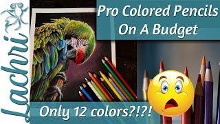 Pro Colored Pencils on a Budget! Only 12 colors!! Lachri