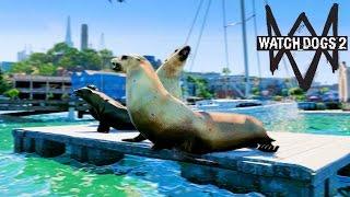 Жизнь Хакера в Watch Dogs 2 - МОРСКИЕ КОТИКИ. ОФИС ЮБИСОФТ. ПАРКУР.