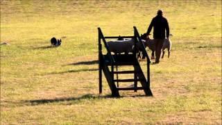 Kevin and Kemi Ross' winning run first day Welsh National 2015.