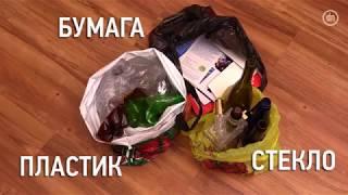 Как сортировать мусор дома?