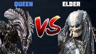 QUEEN VS ELDER | Alien VS Predator FIGHT! | WHO WINS?