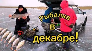 Рыбалка с комфортом! Поехали на секретное озеро и непрогодали! Окунёвый клёв