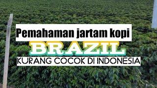 Pemahaman jartam kopi Brazil kurang cocok di Indonesia