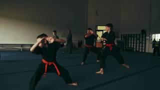 Pinnacle Martial Arts