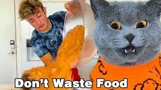 NO!! Please Stop Wasting Food!!| Oscar‘s Funny World | Cute And Funny Cat TikTok