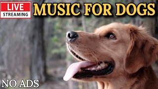 [LIVE] Dog MusicCalming Music for DogsReduces Separation AnxietySleep music for dogs23