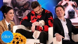 Celebrities Talking About Their Dogs for 8 Minutes Straight