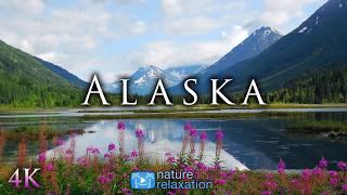 Alaska Wildlife In Stunning 4k - Relaxing Nature Film With Music!