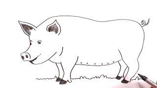 Learn to draw an easy Pig