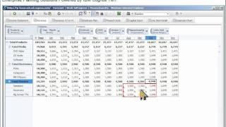 Cognos TM1 Planning