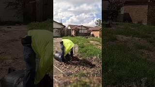 Satisfying yard makeover