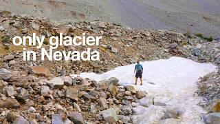 Bristlecone and Alpine Loop Guide (Great Basin NP)
