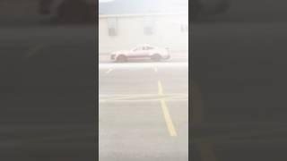 2025 Motors & Music Pearl the Pink Pony (Dark Horse Mustang) Part 1