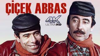 Çiçek Abbas Türk Filmi | 4K ULTRA HD | ŞENER ŞEN | İLYAS SALMAN