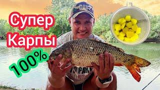 КАРП на силиконовую кукурузу.Рыбалка с ночевкой!  Big fish Carp!