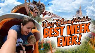 WALT DISNEY WORLD: A Week of Fun, Thrills, and Non-Stop Adventure