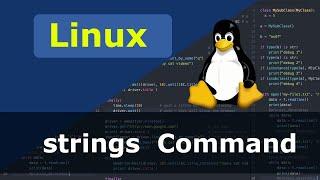 Linux Command - strings