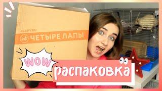 ПОКУПКИ ДЛЯ ПИТОМЦЕВ ИЗ ЗООМАГАЗИНА! РАСПАКОВКА ПОКУПОК ИЗ ЗООМАГАЗИНА! \ ЗООПОКУПКИ + УБОРКА У КРЫС