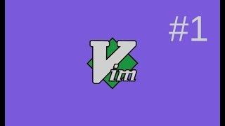 Vim Tutorial - Part1 - The Vim Basics I Use