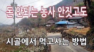 골병들고 망하는 농사 안해도 귀촌해서 먹고 살아요