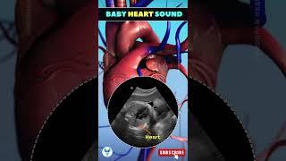 Baby Heartbeat: When and How to Listen During Pregnancy   #fertility #shortsfeed #viral #pregnancy