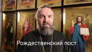 РОЖДЕСТВЕНСКИЙ ПОСТ. Советы постящимся. Священник Евгений Попиченко. Екатеринбург