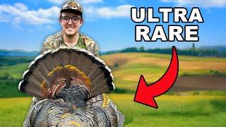 I Hunted The Turkey Of A Lifetime!