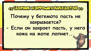  Про Зверей и про Людей! Сборник хорроших анекдотов! анекдоты юмор смех