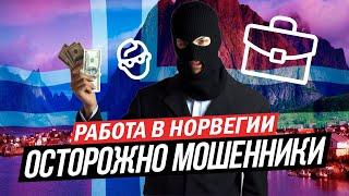 Работа мечты в Норвегии. ОСТОРОЖНО МОШЕННИКИ!!! Пример как обманываю!!!