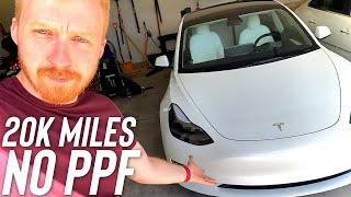 Should YOU Get PPF On Teslas?