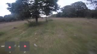 Slow Cruise
