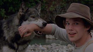 They became friends | White Fang (1991)