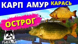 КАРП АМУР КАРАСЬ Старый ОСТРОГ / ФАРМ  РУССКАЯ РЫБАЛКА 4  Russian Fishing 4  РР4