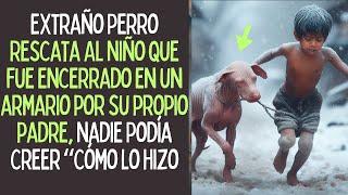 Extraño Perro Rescata Al Niño que fue encerrado en un armario por su propio padre, Mira Como Lo Hizo