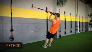 6  Bicep Pull ups (Male) Supps R Us