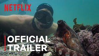 My Octopus Teacher | Official Trailer | Netflix